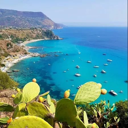 Aurora * 코코리노